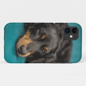 Cute Dachshund Laying Down Case-Mate iPhone Case (Achterkant (horizontaal))