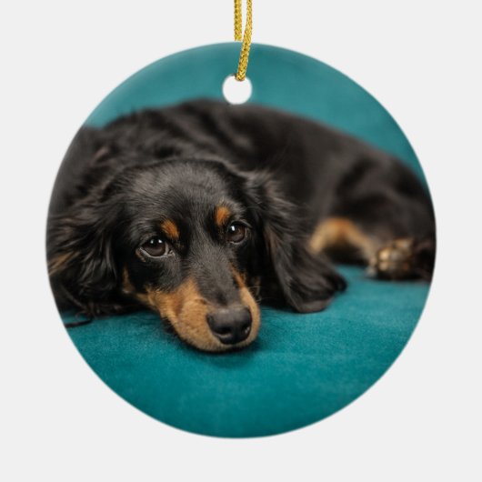 Cute Dachshund Laying Down Keramisch Ornament (Voorkant)