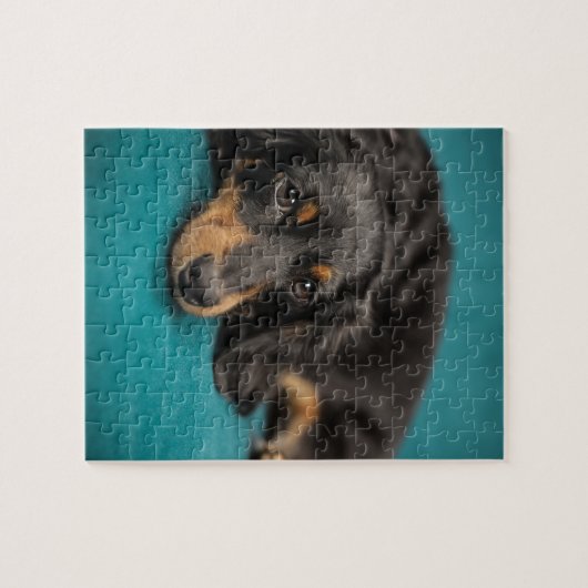 Cute Dachshund Laying Down Legpuzzel (Horizontaal)