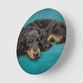 Cute Dachshund Laying Down Ronde Klok (Hoek)