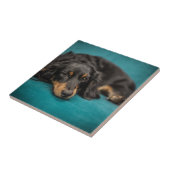 Cute Dachshund Laying Down Tegeltje (Zijkant)