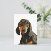 Cute Dachshund (Miniature Brown Short Haire) Briefkaart (Staand voorkant)