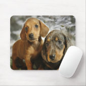 Cute Dachshund-Puppies (bruin/zwart) Muismat (Met muis)