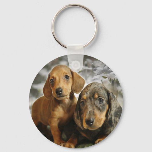 Cute Dachshund-Puppies (bruin/zwart) Sleutelhanger (Voorkant)