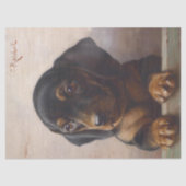 Cute Dachshund Puppy Decoupage Tissuepapier (Voorkant)