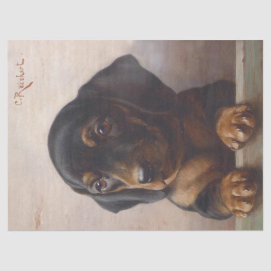 Cute Dachshund Puppy Decoupage Tissuepapier (Voorkant)