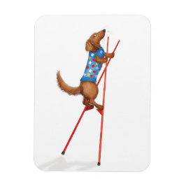 Cute dachshund walking on stilts magnet magneet