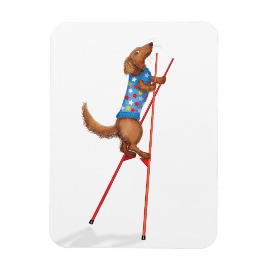 Cute dachshund walking on stilts magnet magneet (Verticaal)