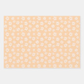Cute Daisy Flower Pattern Inpakpapier Vel (Voorkant 3)