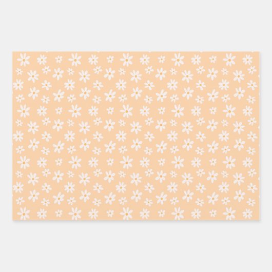 Cute Daisy Flower Pattern Inpakpapier Vel (Voorkant 2)