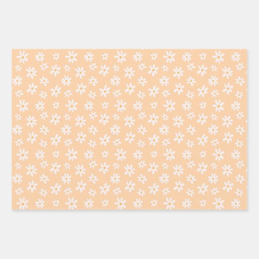 Cute Daisy Flower Pattern Inpakpapier Vel (Voorkant)