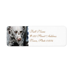 Cute Dalmatian Adresetiketten Etiket