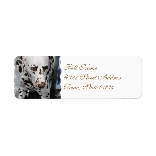 Cute Dalmatian Adresetiketten Etiket (Voorkant)