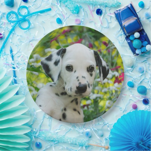 Cute Dalmatian Dog Cute Puppy Portret - Papieren Bordje (Feest)