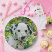 Cute Dalmatian Dog Cute Puppy Portret - Papieren Bordje (Feest)