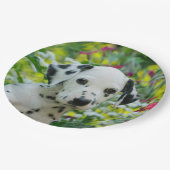 Cute Dalmatian Dog Cute Puppy Portret - Papieren Bordje (Gekanteld)
