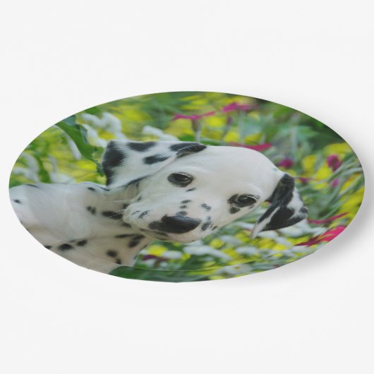 Cute Dalmatian Dog Cute Puppy Portret - Papieren Bordje (Gekanteld)