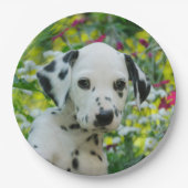 Cute Dalmatian Dog Cute Puppy Portret - Papieren Bordje (Voorkant)