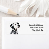 Cute Dalmatian Dog Etiket (Insitu)