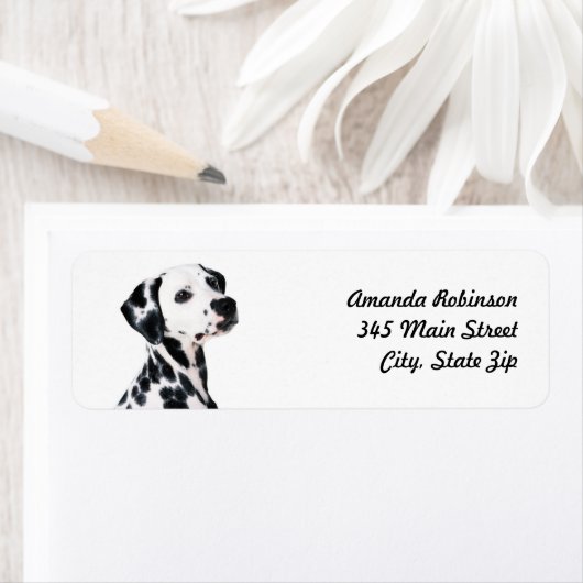Cute Dalmatian Dog Etiket (Insitu)