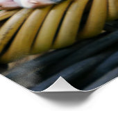 Cute Dalmatian Dog Puppy Portrait, Foto Perfect Poster (Hoek)