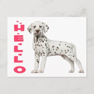 Cute Dalmatian Puppy Dog Hallo denken aan jou Briefkaart