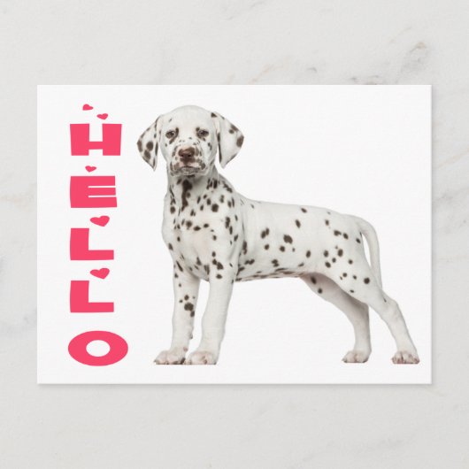 Cute Dalmatian Puppy Dog Hallo denken aan jou Briefkaart (Voorkant)