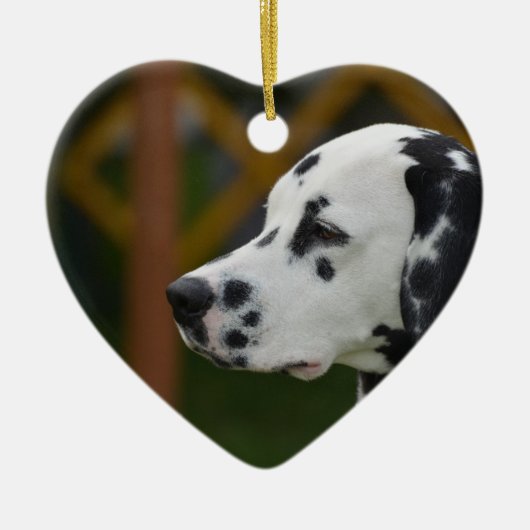 Cute Dalmatian Puppy Keramisch Ornament (Voorkant)