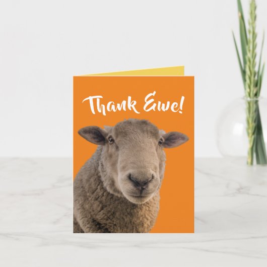 Cute Dankjewel Kaart met ooien (Voorkant)