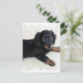 Cute Daschund Briefkaart (Staand voorkant)