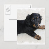 Cute Daschund Briefkaart (Voorkant / Achterkant)