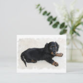 Cute Daschund Briefkaart (Staand voorkant)