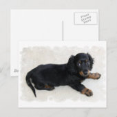 Cute Daschund Briefkaart (Voorkant / Achterkant)