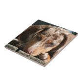 Cute Daschund Puppy Tile Tegeltje (Zijkant)