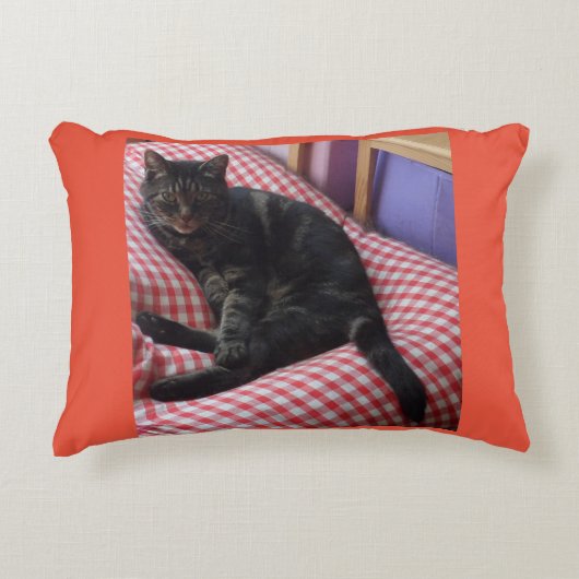 Cute Dave Accent Cushion Accent Kussen (Voorkant)