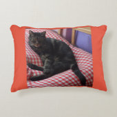 Cute Dave Accent Cushion Kussen (Voorkant)
