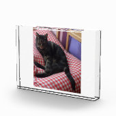 Cute Dave Acrylic Photo Block Fotoblokken (Rechts)