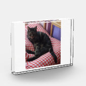 Cute Dave Acrylic Photo Block Fotoblokken (Links)