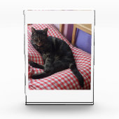 Cute Dave Acrylic Photo Block Fotoblokken (Voorkant)