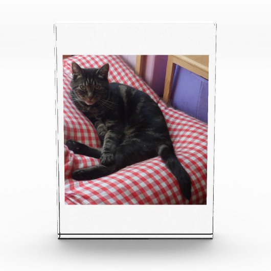 Cute Dave Acrylic Photo Block Fotoblokken (Voorkant)