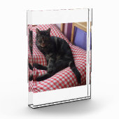 Cute Dave Acrylic Photo Block Fotoblokken (Links)