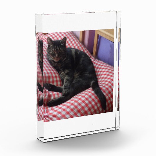 Cute Dave Acrylic Photo Block Fotoblokken (Links)