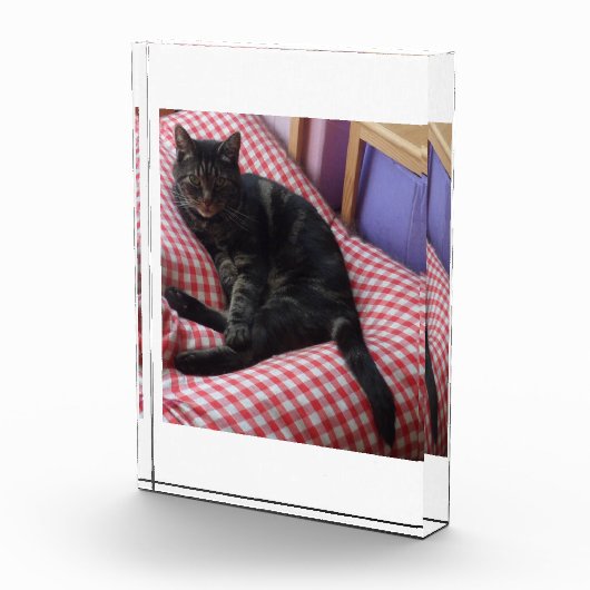 Cute Dave Acrylic Photo Block Fotoblokken (Rechts)