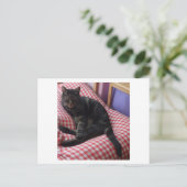 Cute Dave Briefkaart (Staand voorkant)