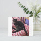 Cute Dave Briefkaart (Staand voorkant)