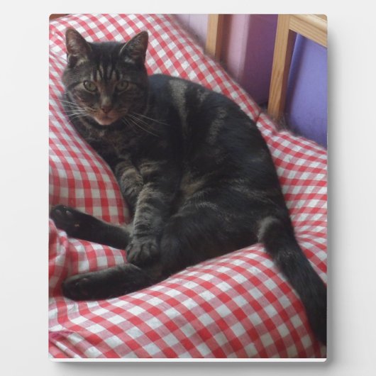 Cute Dave Fotoplaat (Voorkant)