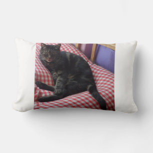Cute Dave Lumbar Pillow Kussen