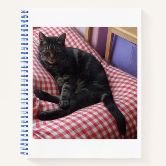 Cute Dave Notitieboek (Voorkant)