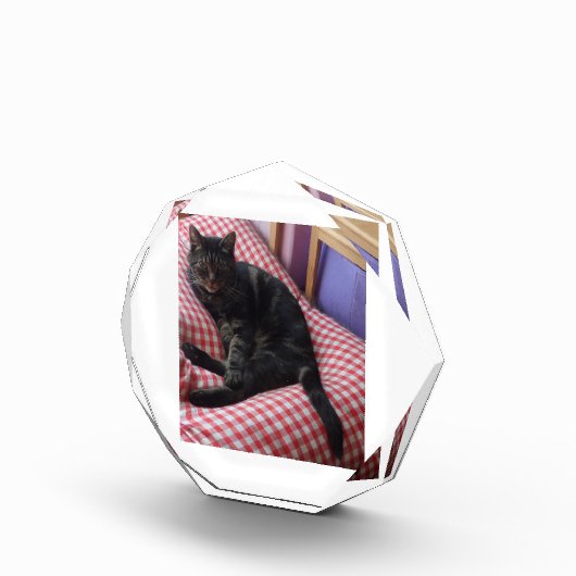 Cute Dave Octagonal Photo Block Fotoblokken (Rechts)