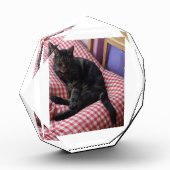 Cute Dave Octagonal Photo Block Fotoblokken (Links)
